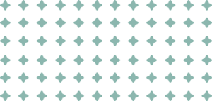 pattern 300x144.png
